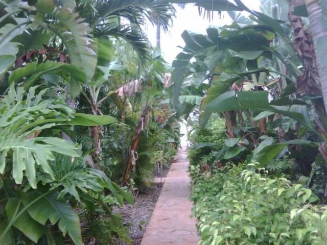 2 bedroom, Wilton Manors FL 33334 106247700