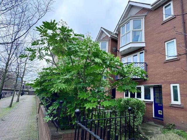 2 Bedroom Town House