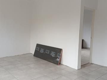 2 Bedroom Townhouse To Rent in Pinelands