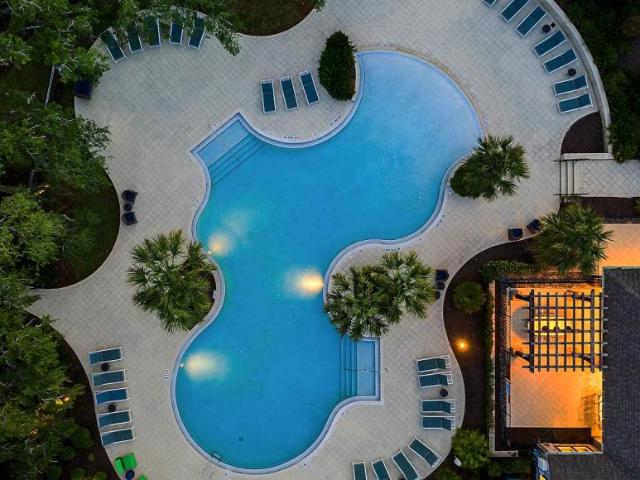 2 bedroom, Tampa FL 33625 104817804