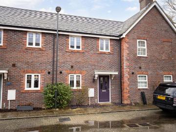 Crawley, West Sussex county, Sussex - Garden