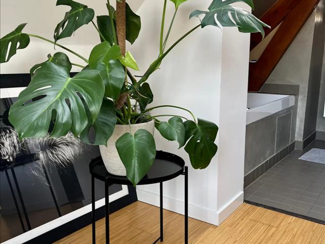 2 bedrooms Apartment Surface Area: 104m2 Furnished