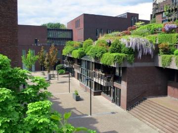 Olland, Meierijstad, Noord-Brabant - Parkeerplaats