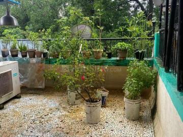 Mumbai, Thane District, Maharashtra - Balcony