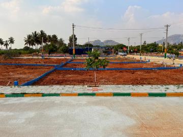 Villa for sale in Karnataka - Garden
