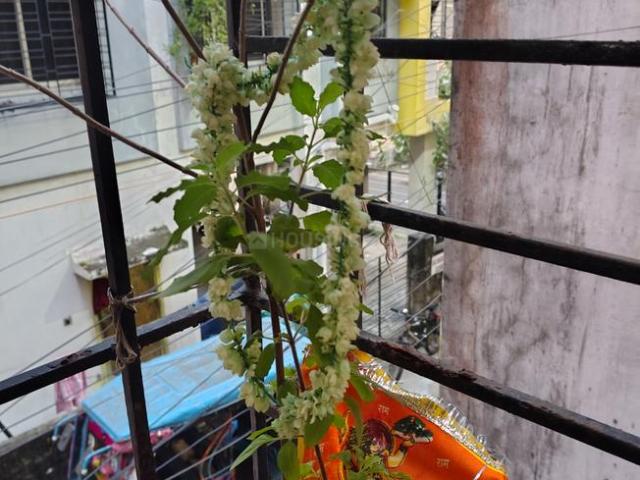 2 BHK Apartment in Chandannagar for rent Hooghly. The reference number is 21228371
