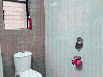2 BHK Apartment in Christian Basti for rent Guwahati. The reference number is 20547298