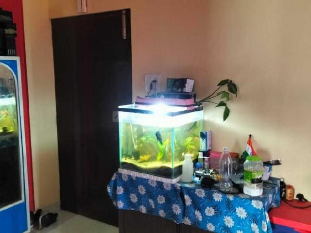 2 BHK Apartment in Amtala for rent Kolkata. The reference number is 19981119
