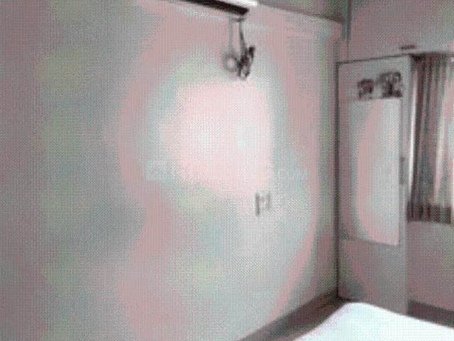 2 BHK Apartment in Ashok Nagar for rent Pune. The reference number is 14513296