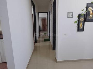 2 BHK Apartment in Baner for rent Pune. The reference number is 20534006