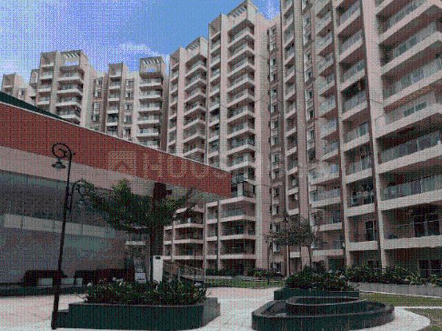 2 BHK Apartment in Bellandur for rent Bengaluru. The reference number is 20728924