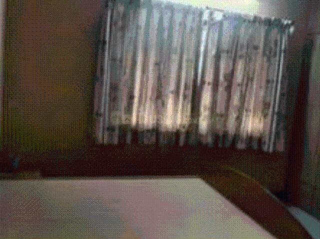 2 BHK Apartment in Gokhalenagar for rent Pune. The reference number is 17952146