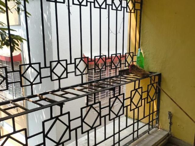 2 BHK Apartment in Golf Green for rent Kolkata. The reference number is 21082227