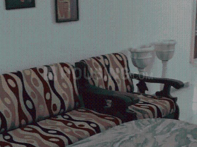 2 BHK Apartment in Ghatlodiya for rent Ahmedabad. The reference number is 20705566