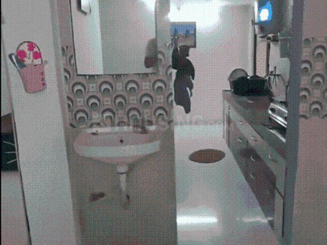 2 BHK Apartment in Ghatlodiya for rent Ahmedabad. The reference number is 21162069