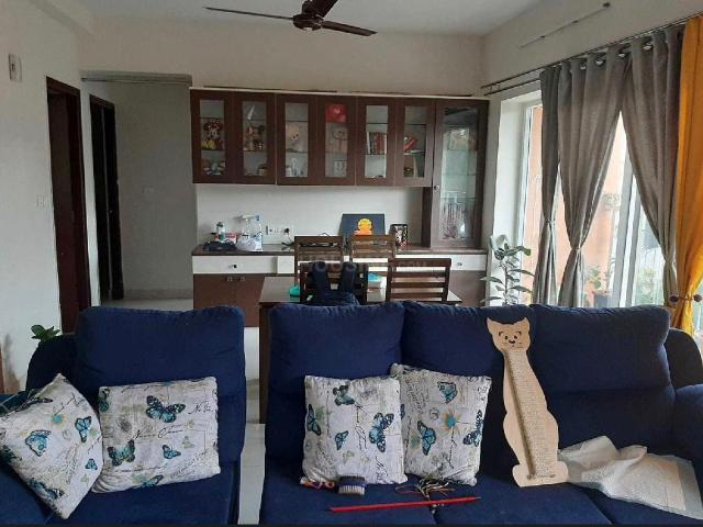 2 BHK Apartment in Doddakannelli for rent Bengaluru. The reference number is 20617075