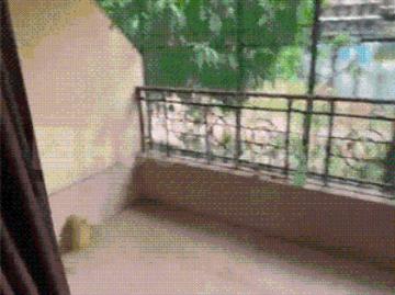 2 BHK Apartment in Dombivli West for rent Thane. The reference number is 20514617