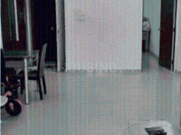 2 BHK Apartment in Dadar East for rent Mumbai. The reference number is 20030364