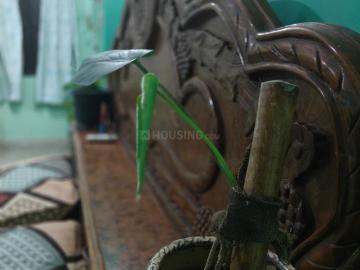 Ghandi Vihar, New Delhi, Delhi