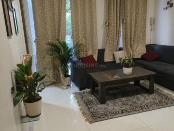 Deccan, Prabhat Road - Balcony, Lift, Security