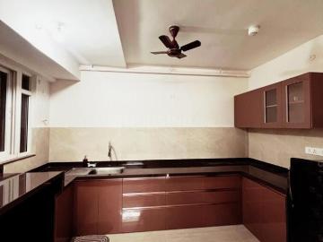 2 BHK Apartment in Kothrud for rent Pune. The reference number is 19201677