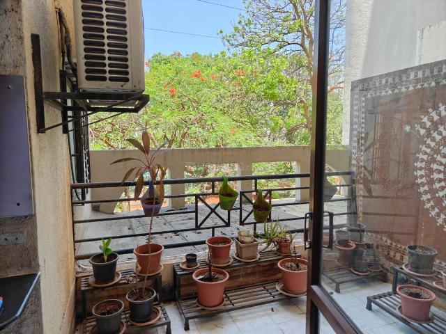 2 BHK Apartment in Kothrud for rent Pune. The reference number is 20127921