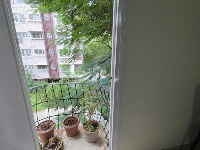 2 BHK Apartment in Kothrud for rent Pune. The reference number is 21191880