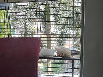 2 BHK Apartment in Kalyan West for resale Kalyan. The reference number is 18458340