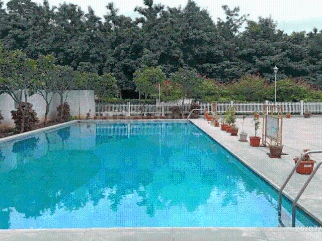 2 BHK Apartment in Kambipura for rent Bengaluru. The reference number is 20181368