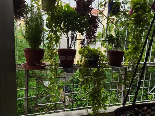 2 BHK Apartment in Kasba for rent Kolkata. The reference number is 20588856