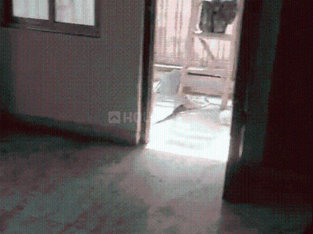2 BHK Apartment in Keshtopur for rent Kolkata. The reference number is 20931111