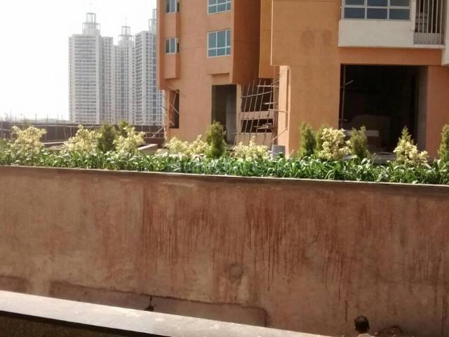 2 BHK Apartment in Kharghar for rent Navi Mumbai. The reference number is 21175100