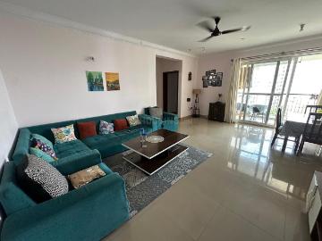 2 BHK Apartment in Harlur for rent Bengaluru. The reference number is 20563895