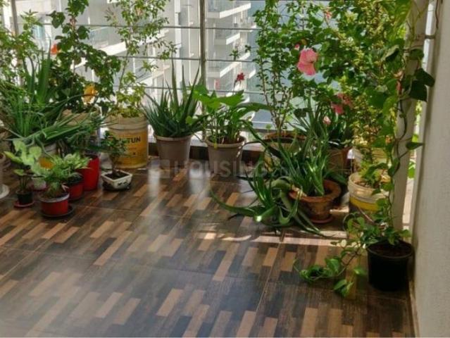 2 BHK Apartment in Hinjawadi Phase 2 for rent Pune. The reference number is 20628109