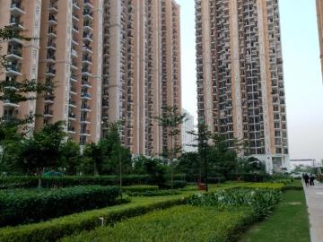 2 BHK Apartment in Indirapuram for rent Ghaziabad. The reference number is 20557656