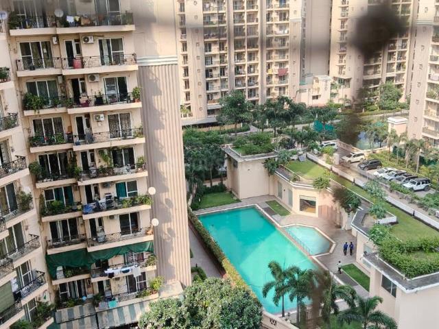 2 BHK Apartment in Indirapuram for rent Ghaziabad. The reference number is 21279666
