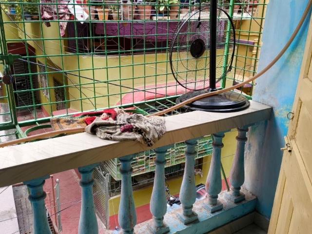 2 BHK Apartment in Jadavpur for rent Kolkata. The reference number is 4825531