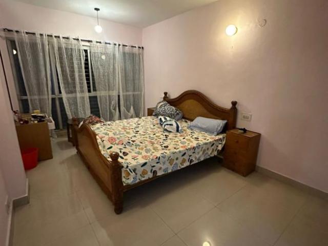 2 BHK Apartment in Lavelle Road for rent Bengaluru. The reference number is 17618255