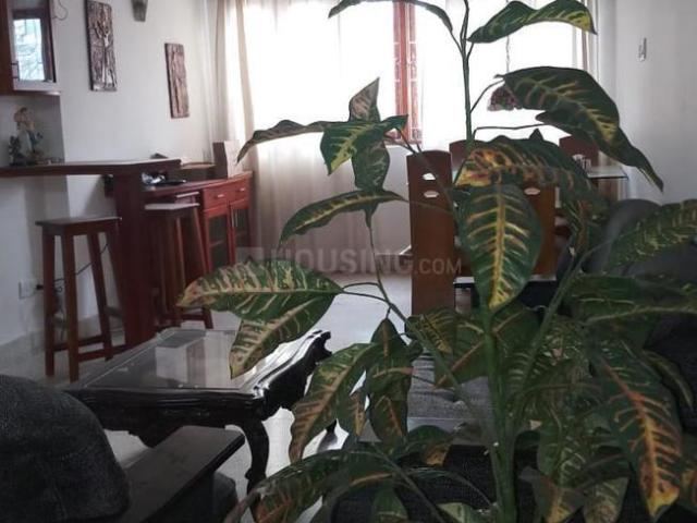 2 BHK Apartment in Lavelle Road for rent Bengaluru. The reference number is 21203717