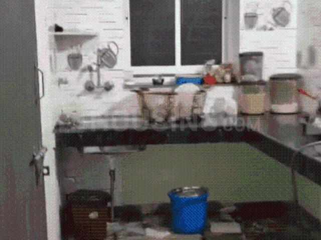 2 BHK Apartment in Lalpur for rent Ranchi. The reference number is 21369183