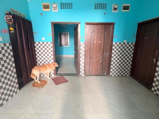 2 BHK Apartment in Madhopura for rent Purnea. The reference number is 18977104