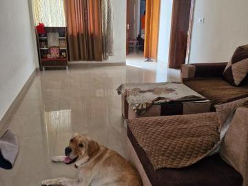 2 BHK Apartment in Milakpur Goojar for rent Bhiwadi. The reference number is 17675380
