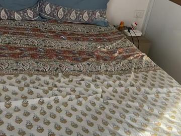 2 BHK Apartment in Noida Extension for rent Greater Noida. The reference number is 18338089