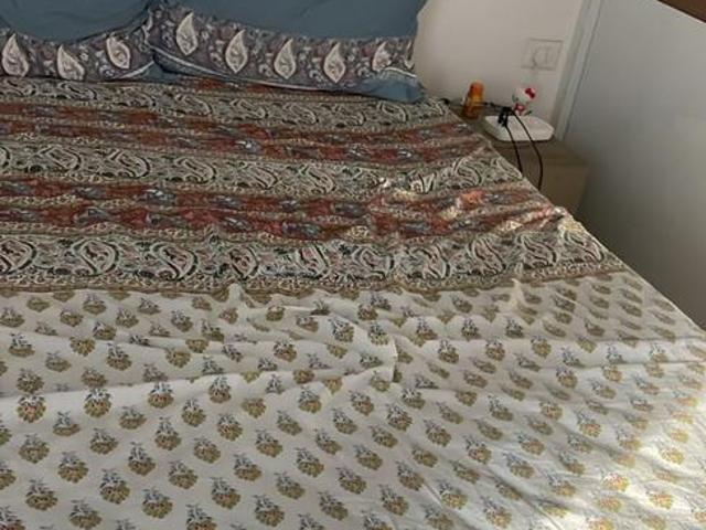 2 BHK Apartment in Noida Extension for rent Greater Noida. The reference number is 18338089