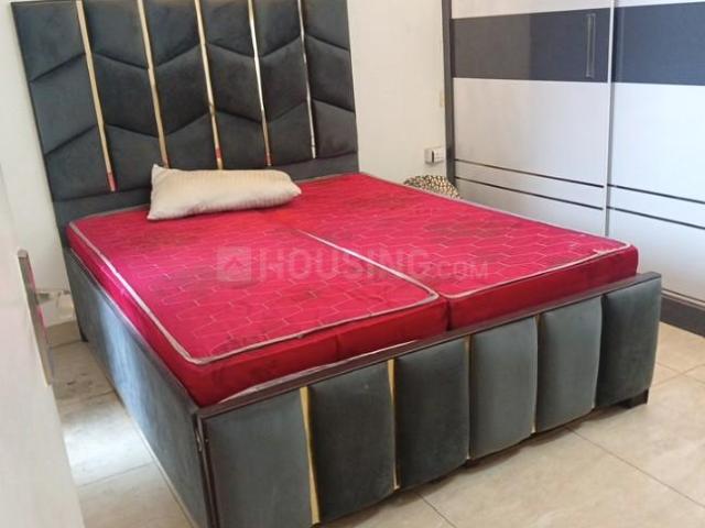2 BHK Apartment in Noida Extension for rent Greater Noida. The reference number is 19825338