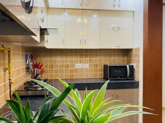 2 BHK Apartment in Noida Extension for rent Greater Noida. The reference number is 20810108