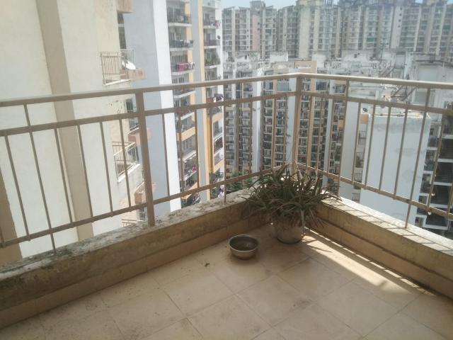 2 BHK Apartment in Noida Extension for rent Greater Noida. The reference number is 20875721