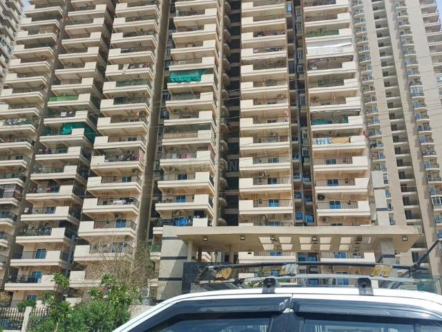 2 BHK Apartment in Noida Extension for rent Greater Noida. The reference number is 20239487