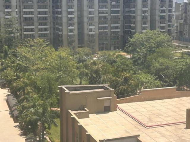 2 BHK Apartment in Noida Extension for rent Greater Noida. The reference number is 20276482