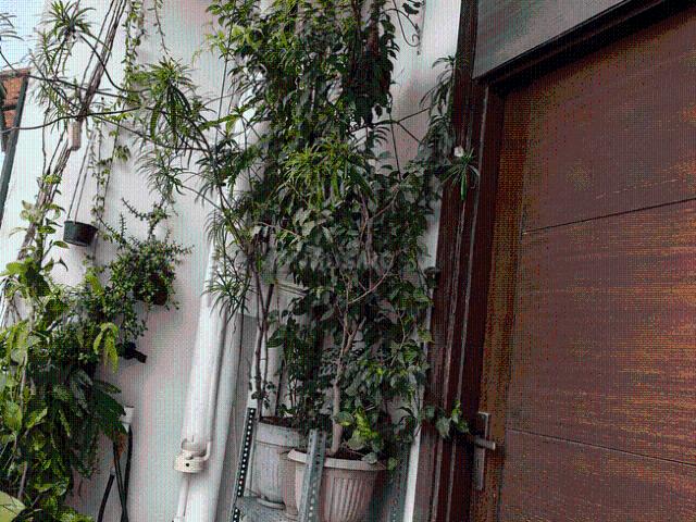 2 BHK Apartment in Nai Basti Dundahera for resale Ghaziabad. The reference number is 20784321